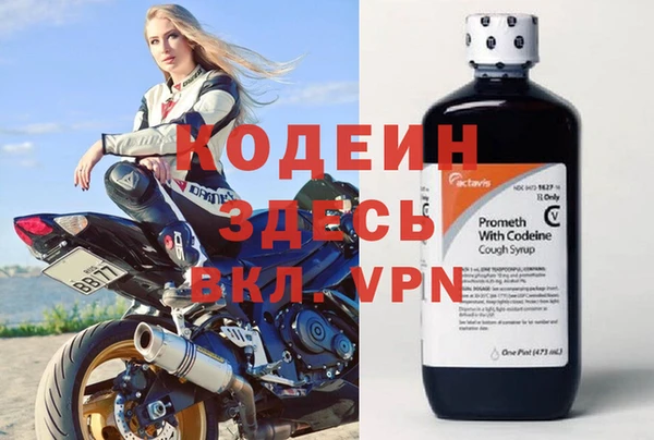 ГАЛЛЮЦИНОГЕННЫЕ ГРИБЫ Абаза