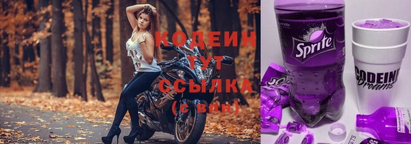 ГАЛЛЮЦИНОГЕННЫЕ ГРИБЫ Абаза