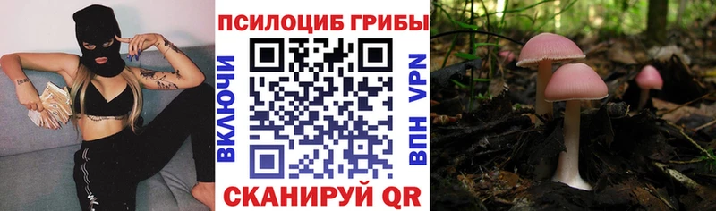Галлюциногенные грибы Cubensis наркота Староминская